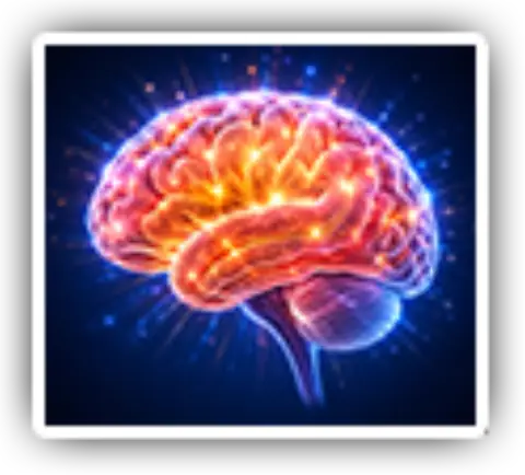Illustration of the brain